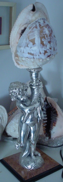 shell lamps