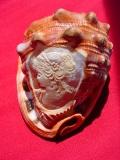 cameo shell paperweight