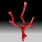 red coral branch pendant