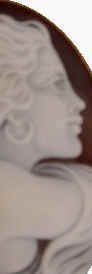 ƒTƒ‹ƒhƒmƒjƒNƒX