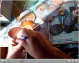 click on the picture to watch the video
