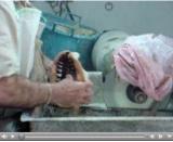 click on the picture to watch the video